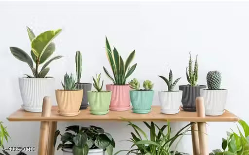 FANCY 5 PIS COMBO OF THE Plastic Round Flower Pots for Home