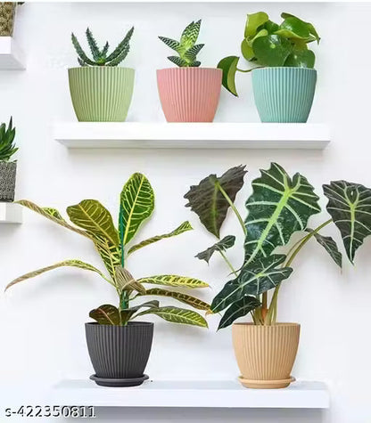 FANCY 5 PIS COMBO OF THE Plastic Round Flower Pots for Home